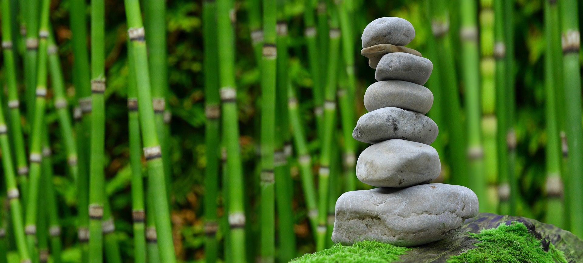 Read more about the article How can companies in Asia overcome the challenges they face with their Asian distributors?